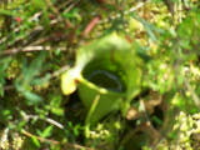 100_1590.jpg